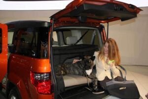 Anyone who says things are going to the dogs should first check out this pet-friendly version of the Honda Element.