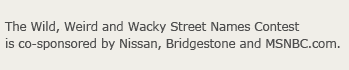 The Wild, Weird and Wacky Street Names Contest is co-sponsored by Nissan, Bridgestone and MSNBC.com.