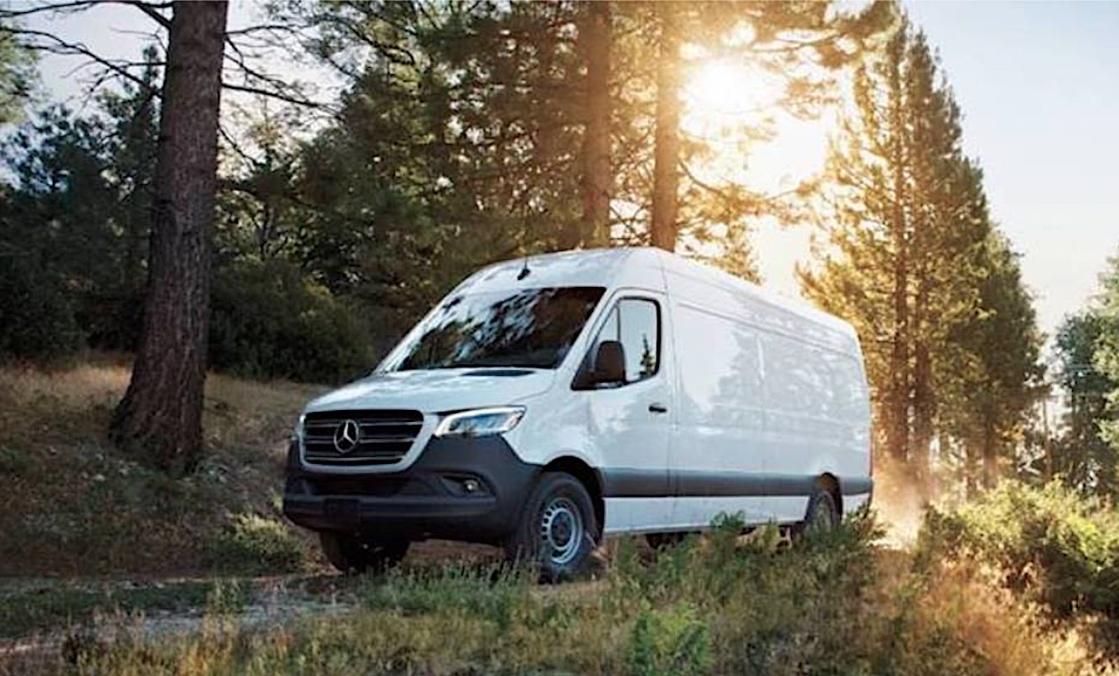 Mercedes Benz Offers New Diesel In Cargo Van The Detroit Bureau