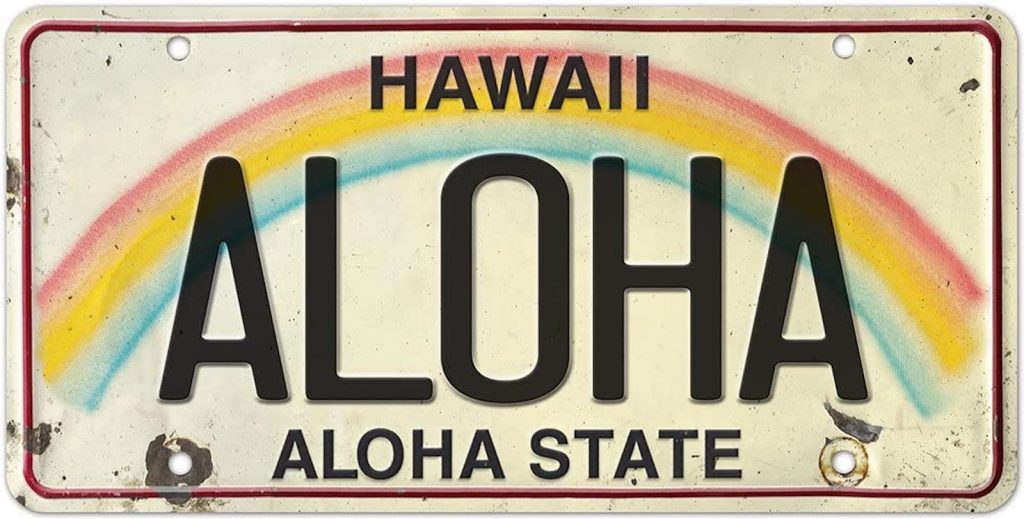 Hawaii license plate 2020
