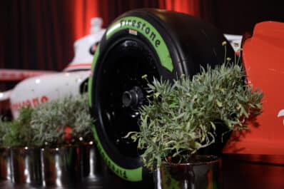 Guayule tire with plant
