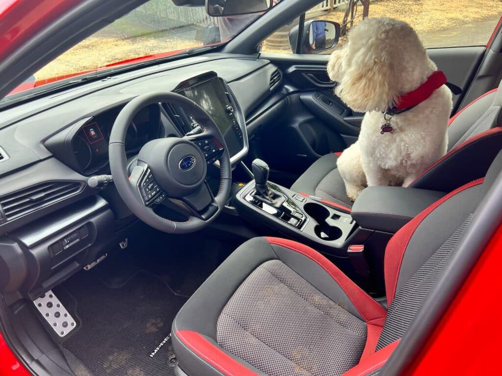 2024 Subaru Impreza cockpit w/dog