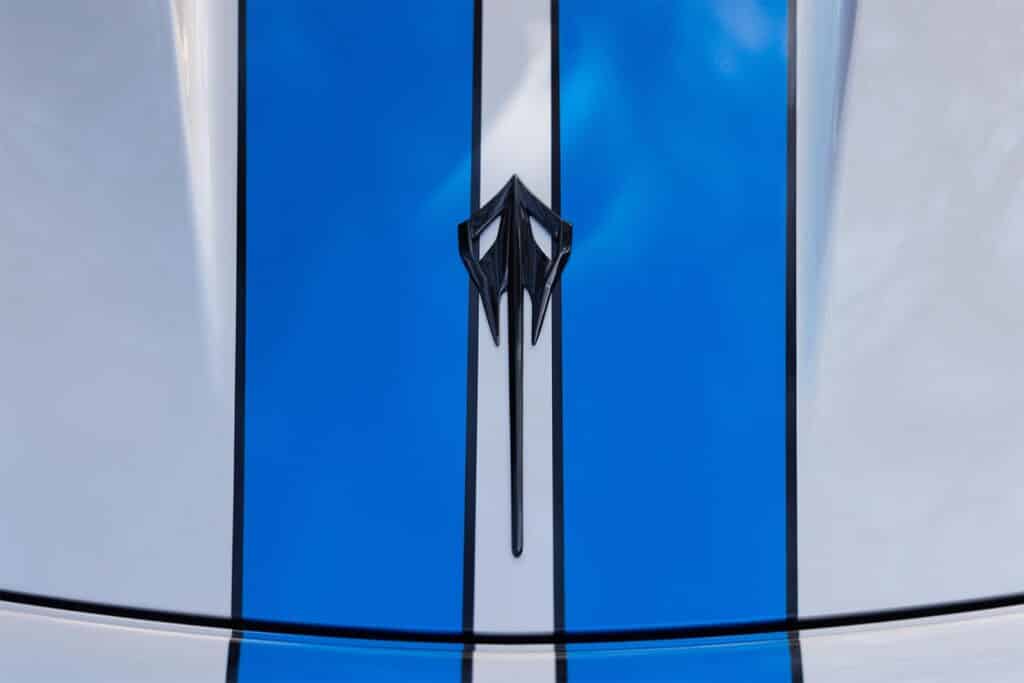 2024 Chevrolet Corvette E-Ray - ornament REL