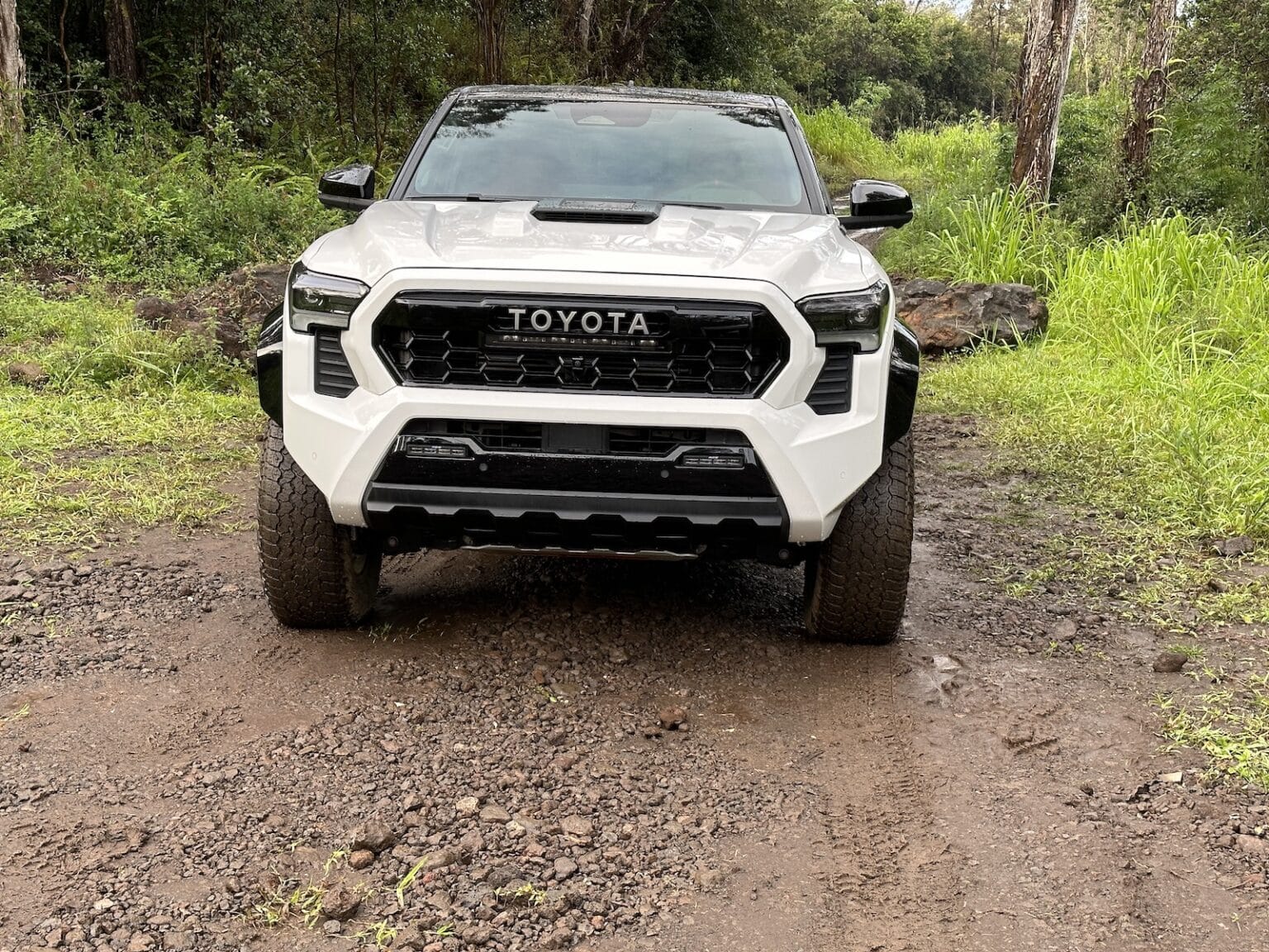 First Look 2024 Toyota Tacoma